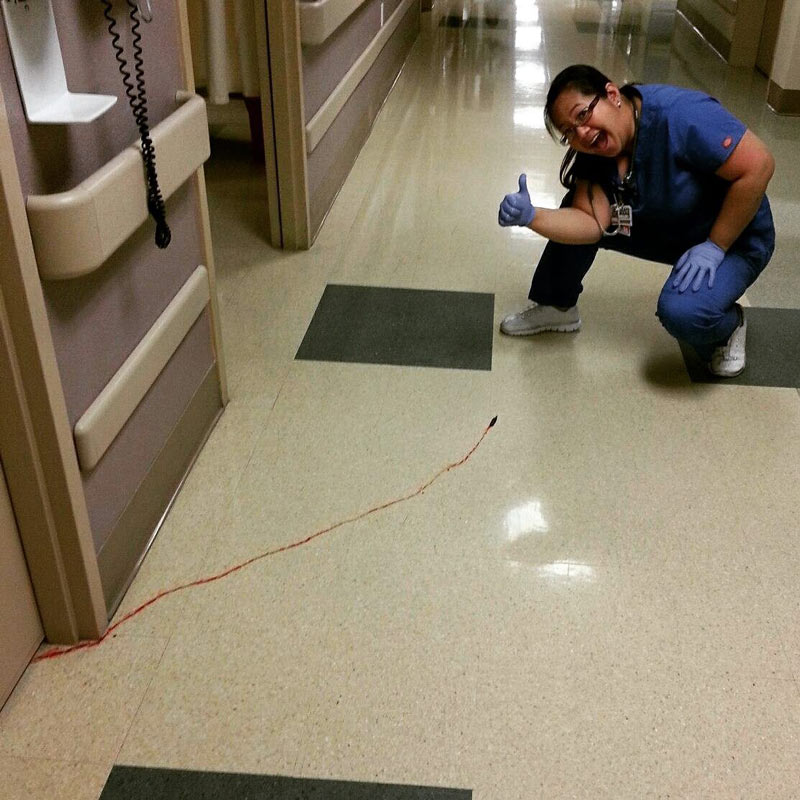 Escaped medical leech on hospital floor