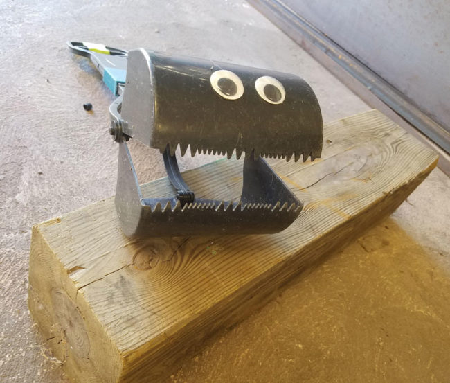 I put googly eyes on my pooper-scooper so I can chase the dogs around the yard with it saying "Give me your poopy!"