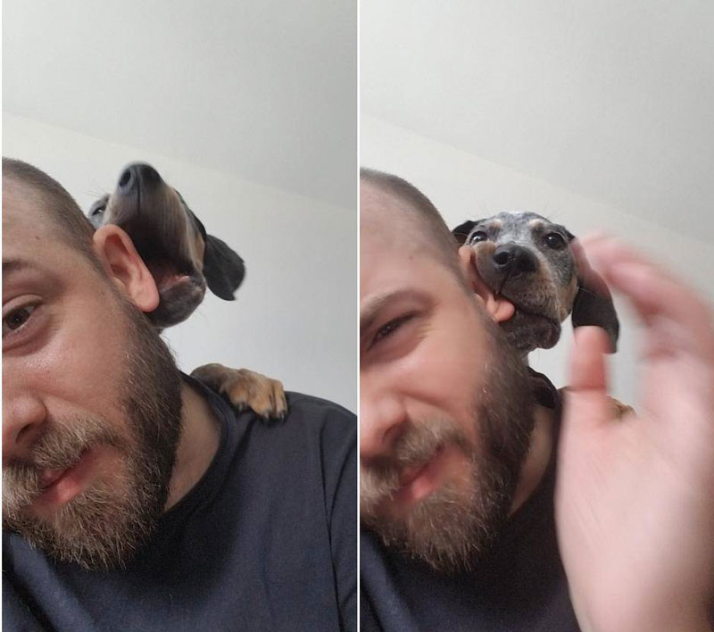 Tried to get a selfie with my new puppy..
