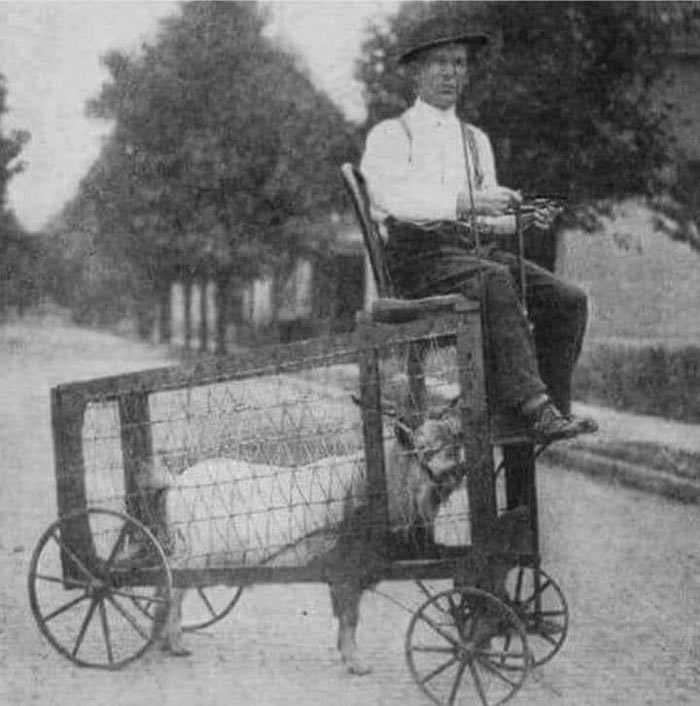 Early 1900’s Dodge Ram