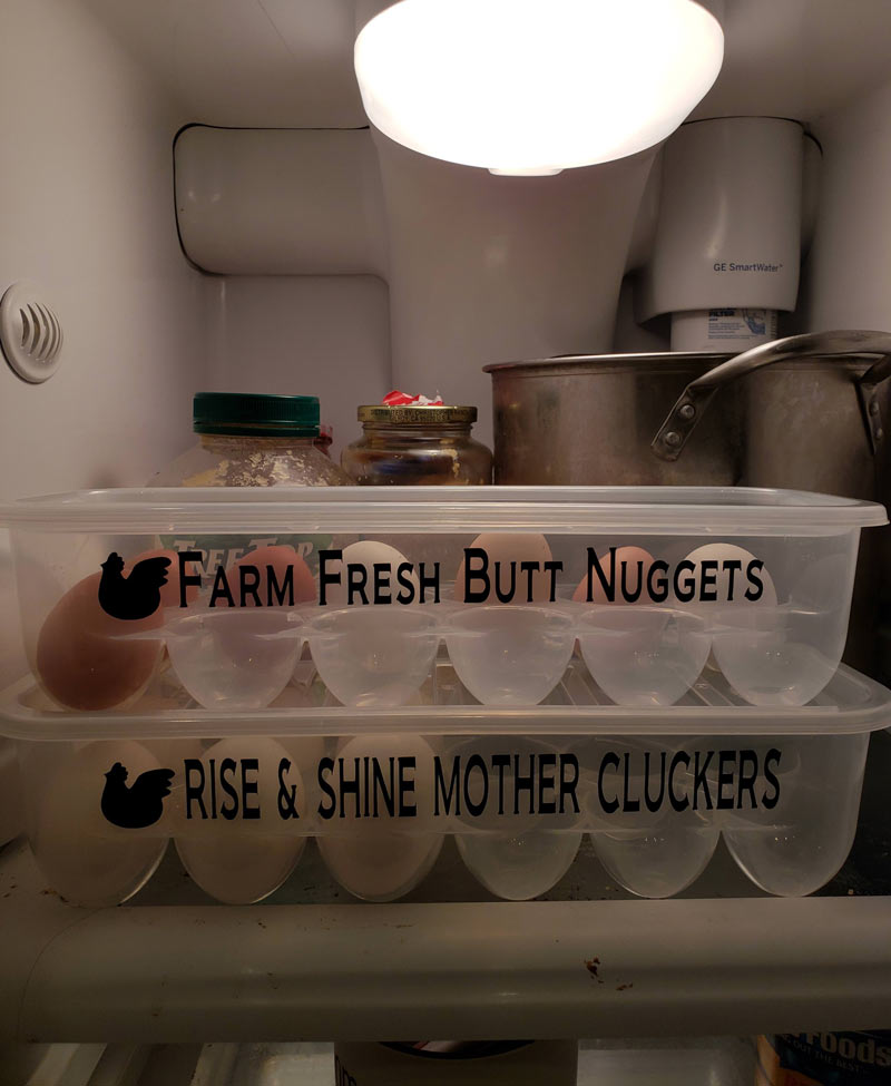 Egg containers my wife got from a coworker