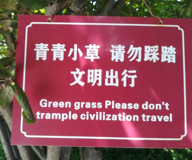 Green grass Please don't trample civilization travel