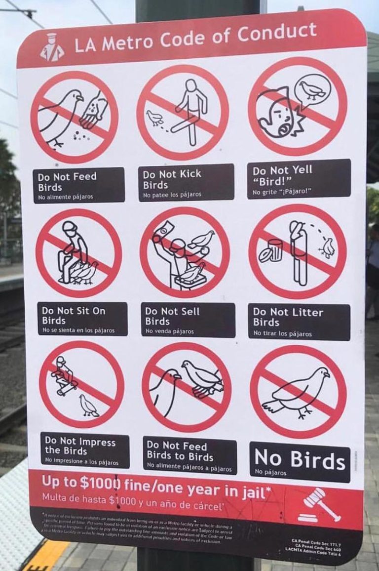 Conduct. Code of conduct picture. Bird Kick.