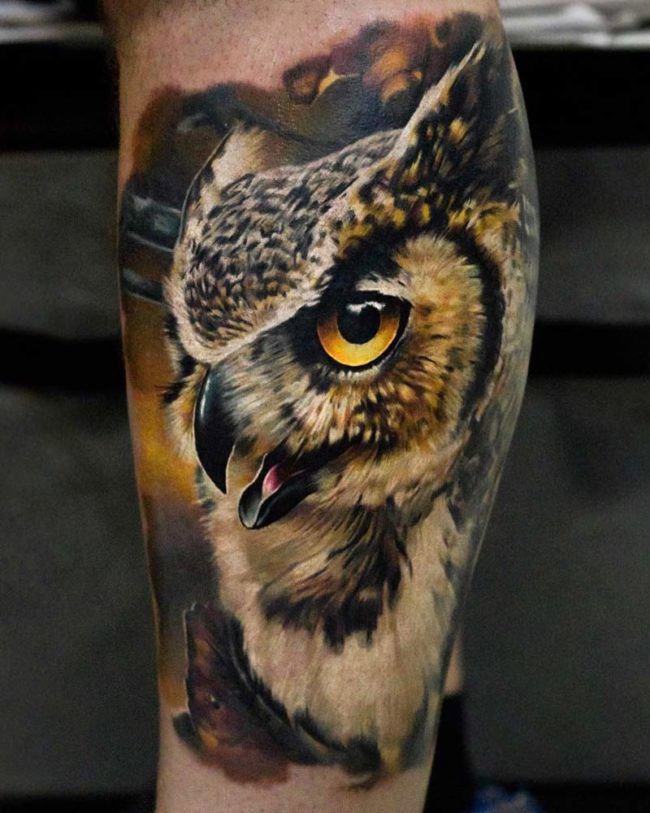 Realistic Owl