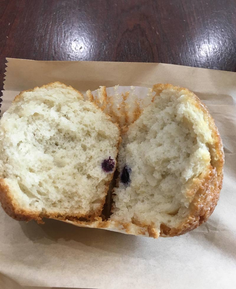 Should have ordered the blueberries muffin