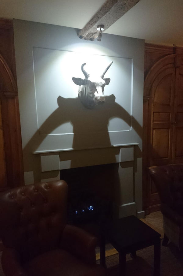 The shadow of this cow head makes it look like it has a torso
