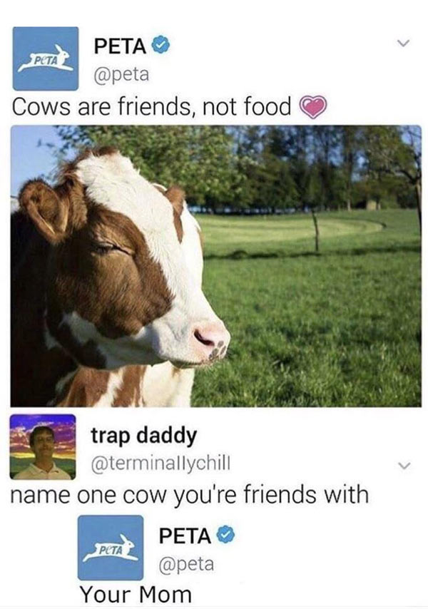 Cows are friends