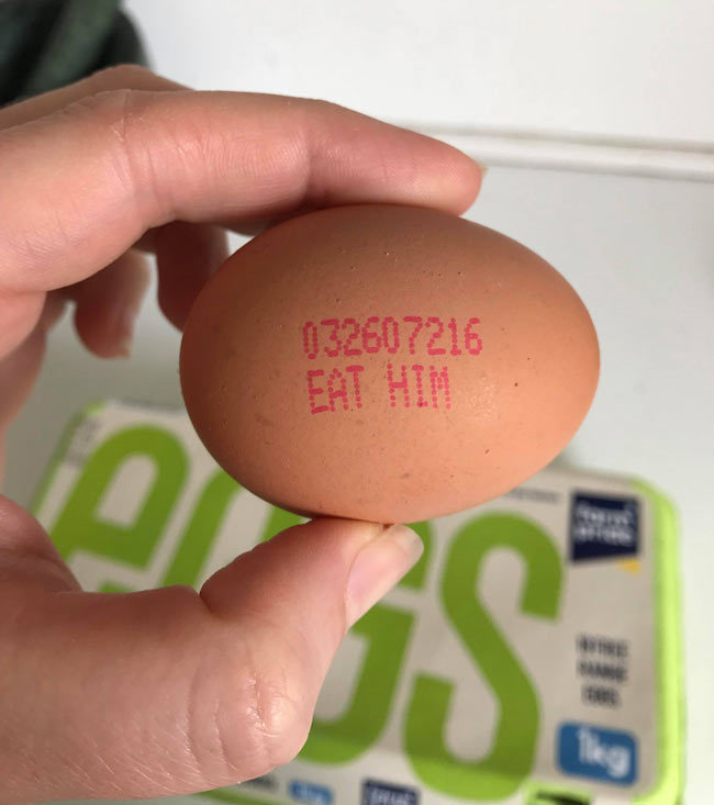 Umm is this supposed to be on my egg..