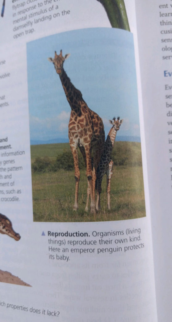 Found this gold in my AP Bio textbook