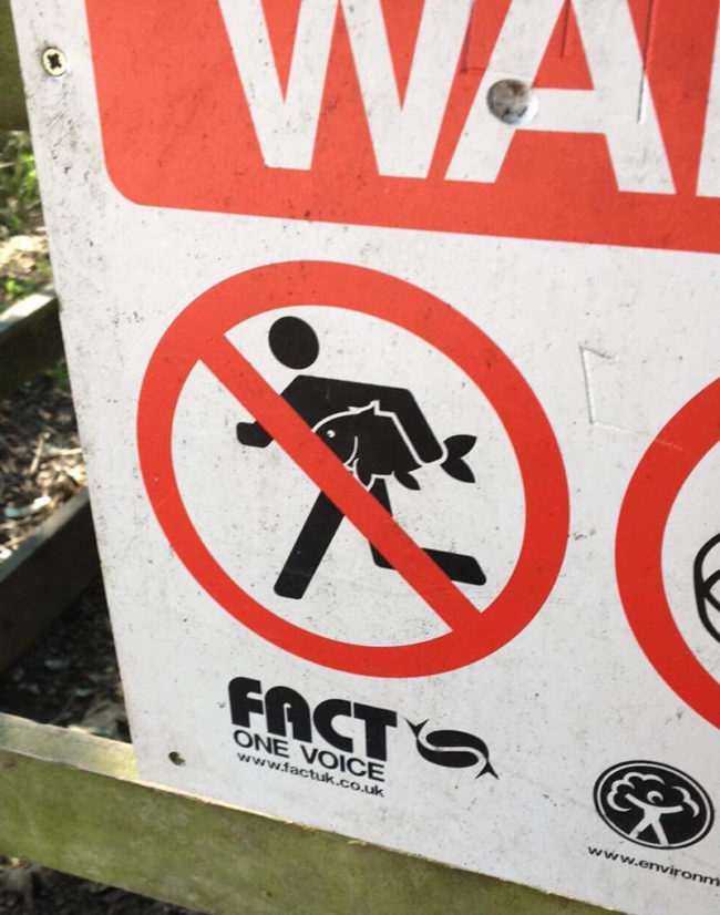 No running with fish!