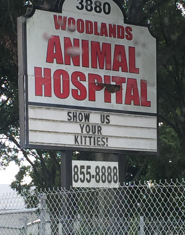 This animal hospital sign