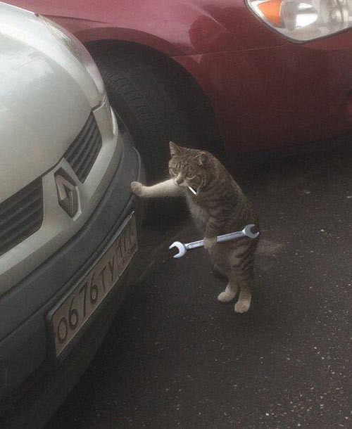Alright, let's get that engine purrin' again