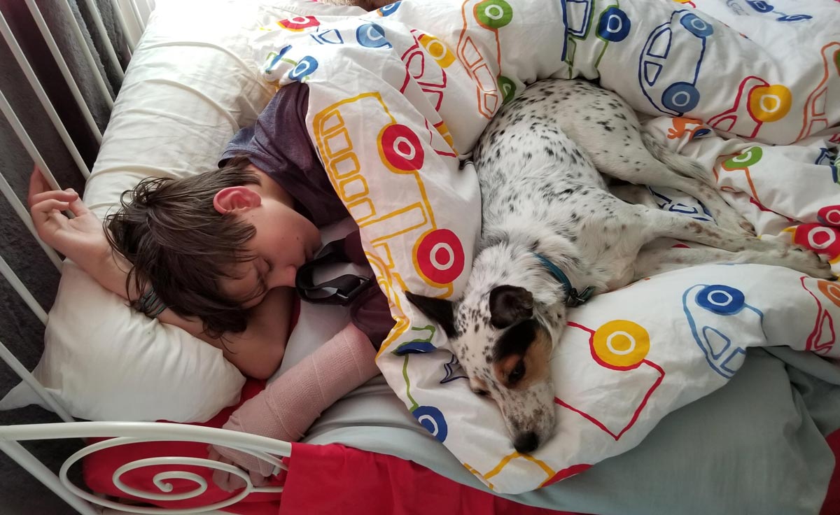My son broke his arm and ever since he came home my girlfriend's dog won't leave his side