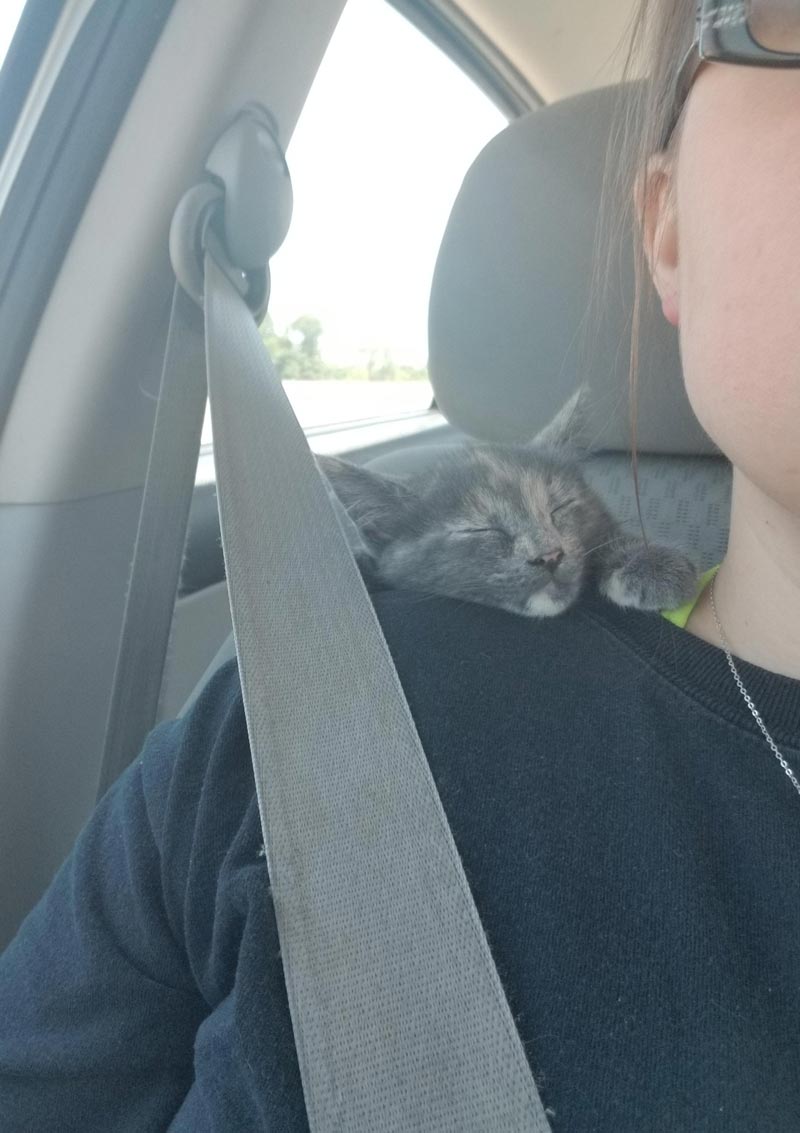 This is how she wanted to ride home after we adopted her