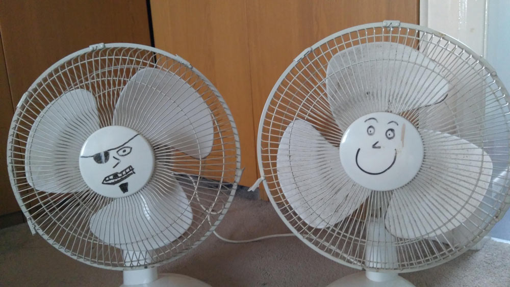 When visiting my girlfriend's house for the first time over 12 years ago, I noticed not only did we have the same fan, but we had both drawn faces on them. We've now been married for 8 years and Bill and Andrew are still with us