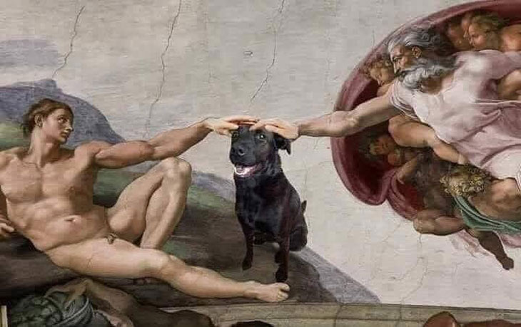 And God said unto man: Pet the darn Dog