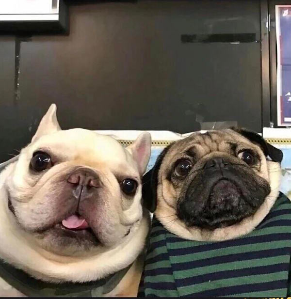 Every old couple on Skype for the first time