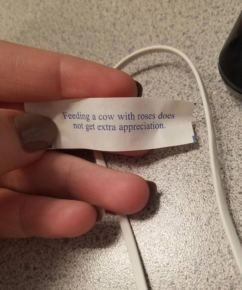 I tossed a fortune cookie in my wife's lunch today. She angrily sent me this picture. Like I control the fortunes inside the cookies and I picked this one on purpose