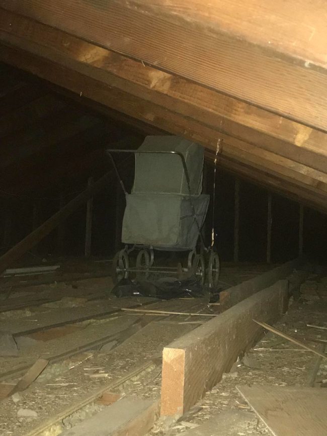 I should never have opened the attic