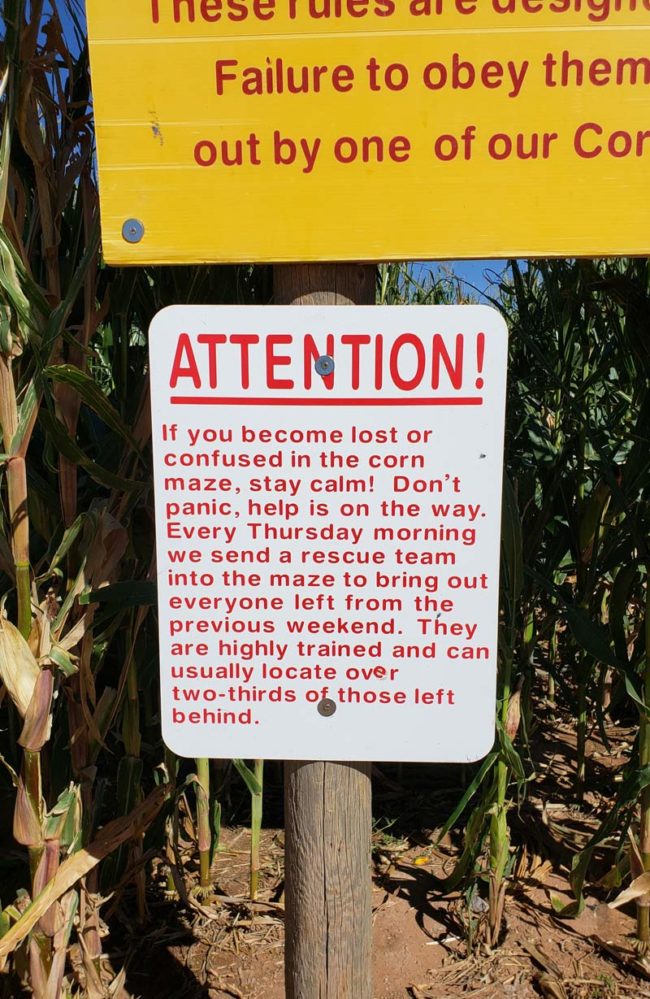 If you get lost in the corn maze