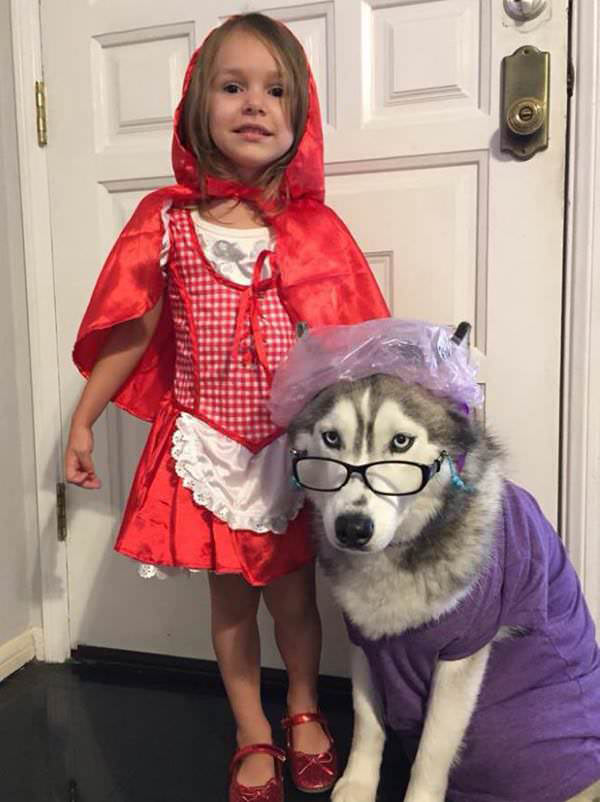 Little Red Riding Hood and Grandma Wolf