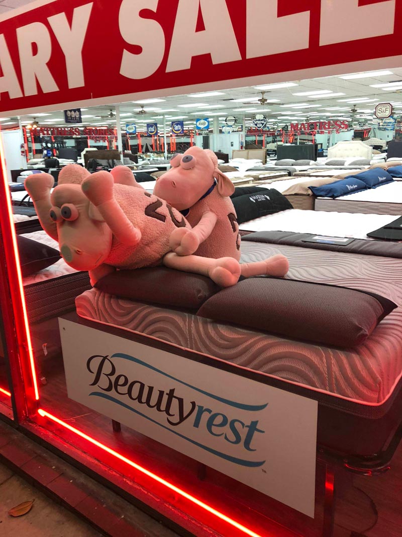 Seen at the local mattress store