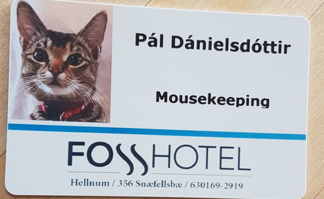 Head of Mousekeeping at the Foss Hotel