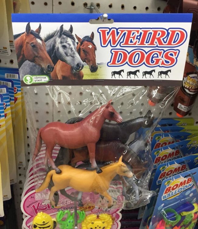 Weird Dogs