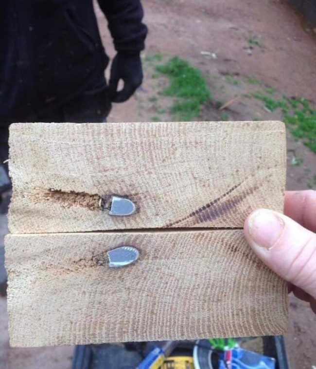 A friend of mine cut a plank of French oak. He found a bullet lodged in it from one of the world wars