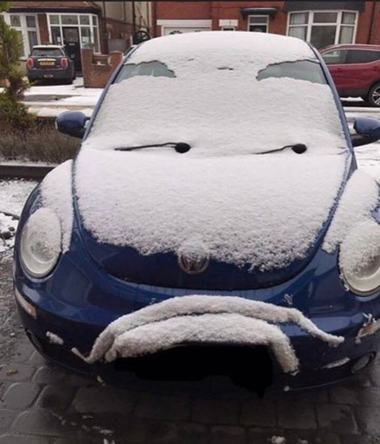 This car is not amused