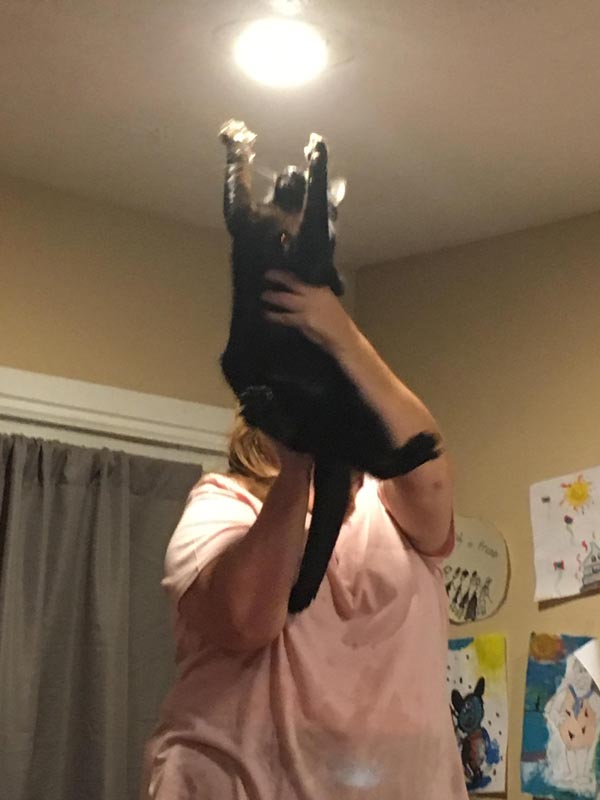 My mom trying to help my cat get the moth on the ceiling