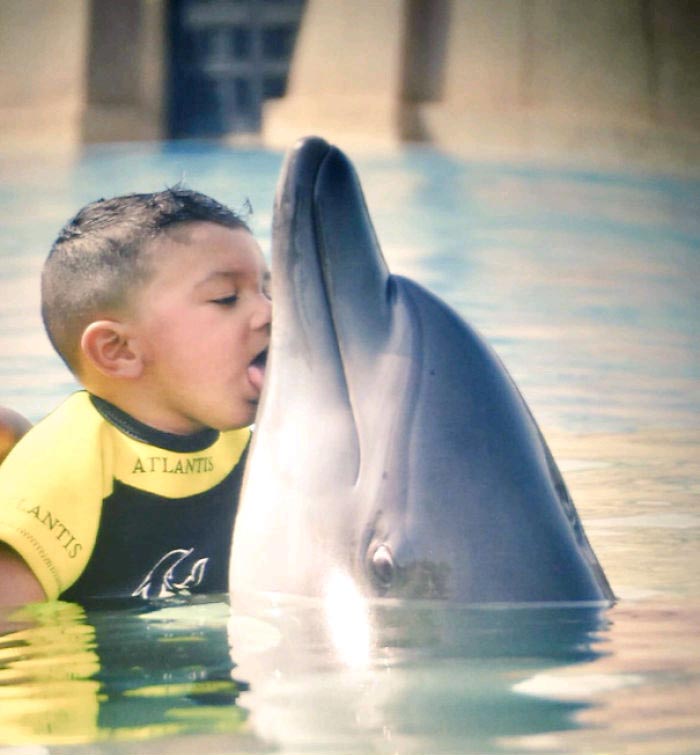The dolphin wasn't expecting that..