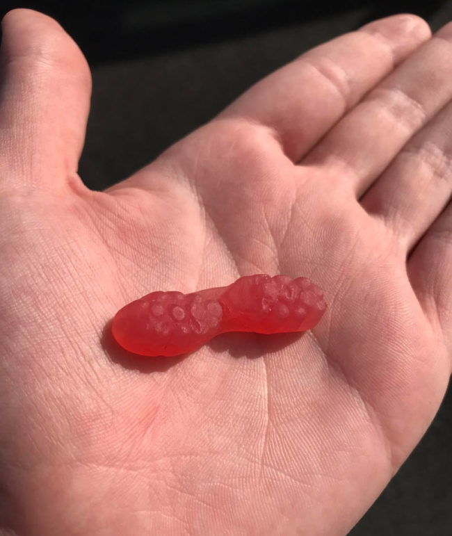 I caught my gummies in the final stage of Telophase
