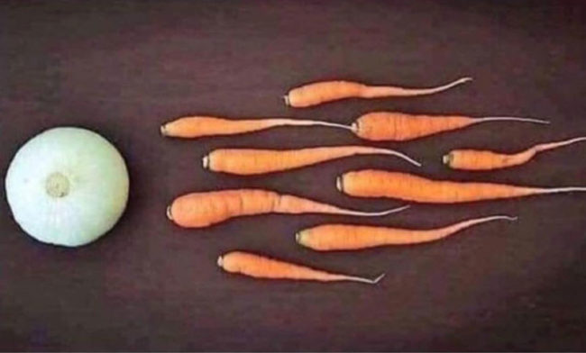 And that ladies and gentlemen is how vegans are made