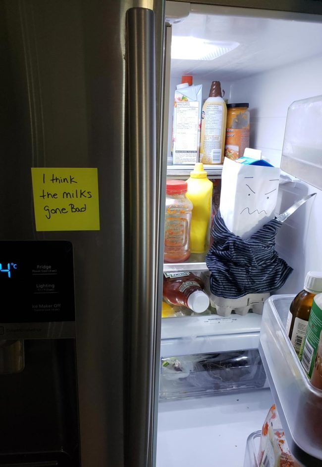 My wife has been waiting 2 days for me to open the fridge