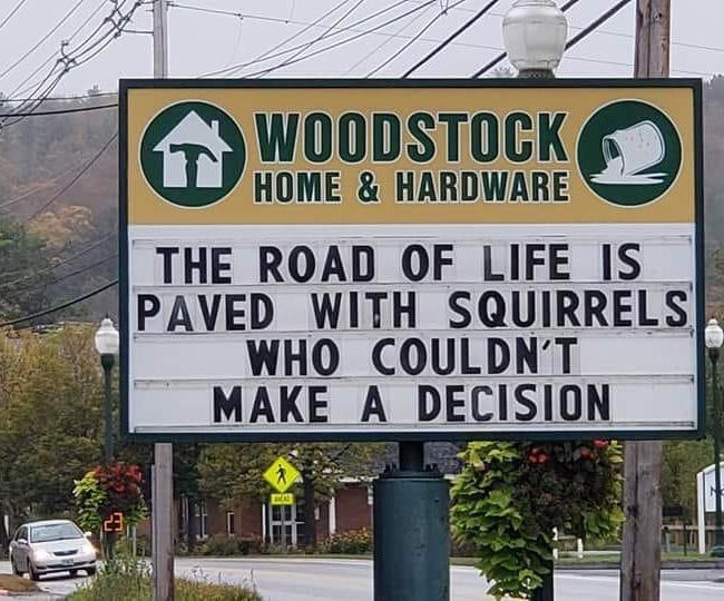 paved-with-squirrels-650x540.jpg