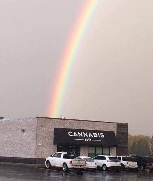 I found the pot at the end of the rainbow!