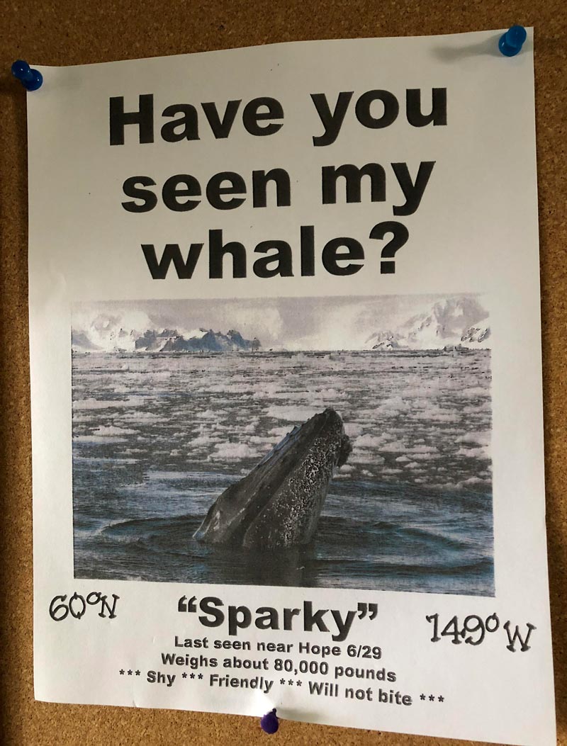 Help Sparky reunite with his owner