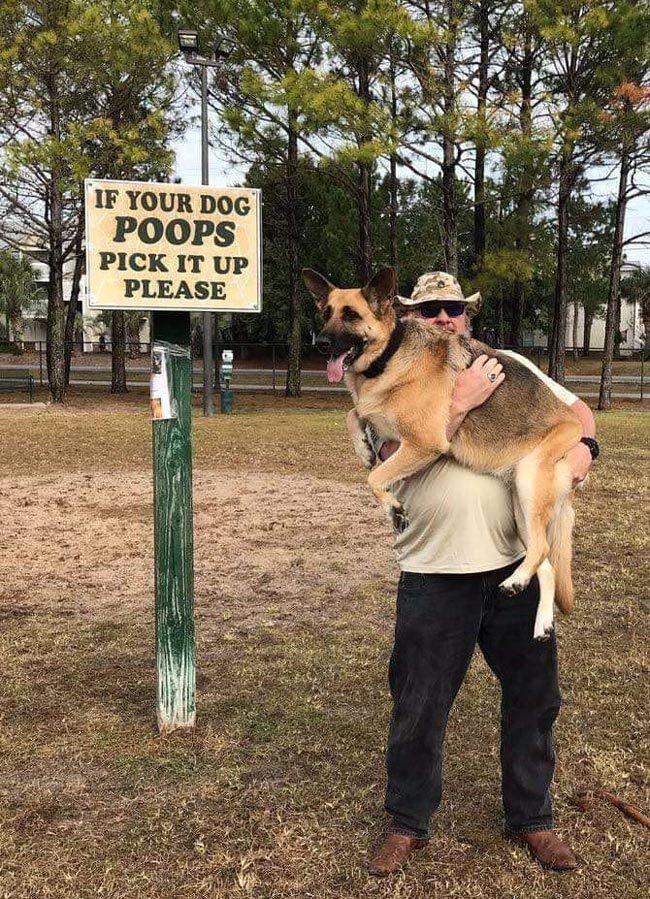 If your dog poops...