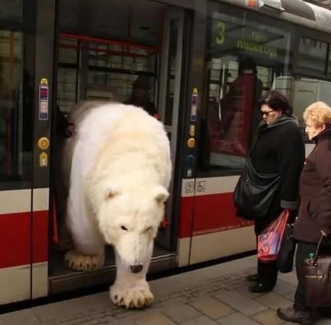 Just another normal day in Russia