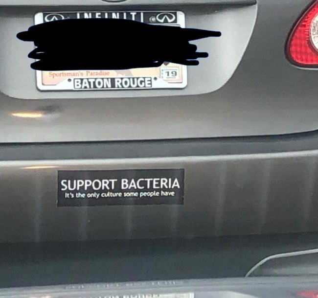Support-Bacteria-650x609.jpg