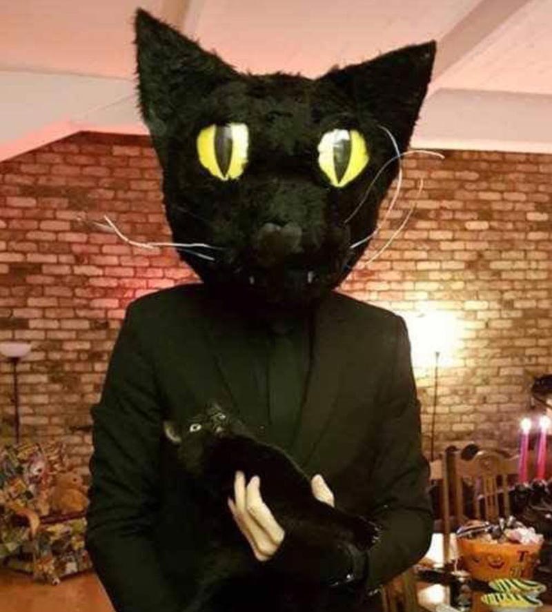 My buddy dressed up as his cat for Halloween, look at the cat's face..