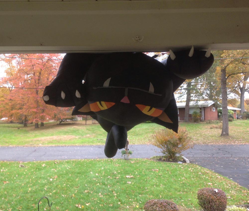 I had an inflatable cat on my roof for Halloween. Last night it was very windy. This is what greeted me when I opened the door this morning, almost had a heart attack