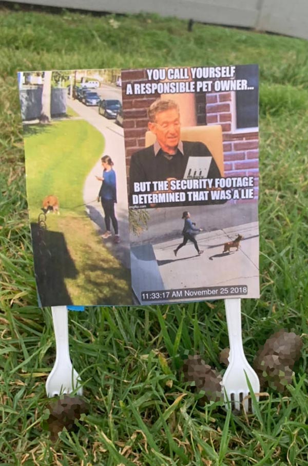 My neighbor busted out the color printer to shame this dog owner