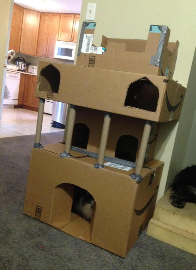 Amazon Christmas = Awesome Cat Castle