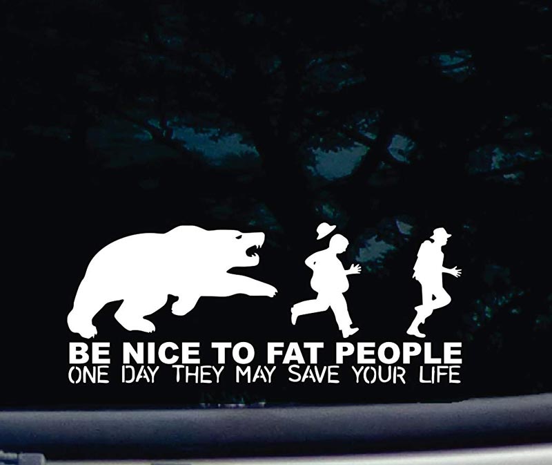 I saw this sticker on a car window today