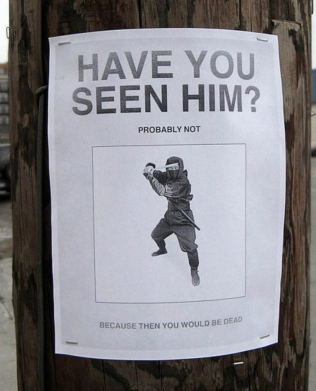 Have you seen him?
