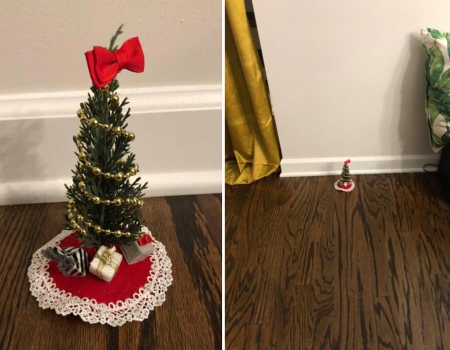 Didn’t have space for a proper tree, but I made up for it in holiday spirit