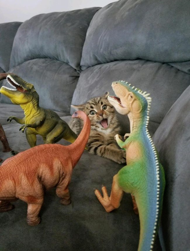 When dinosaurs attack!