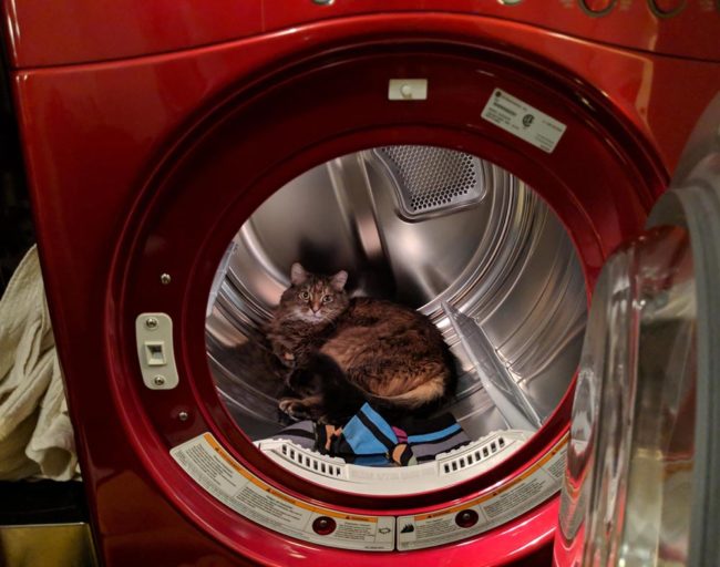I leave the dryer open for 2 seconds...